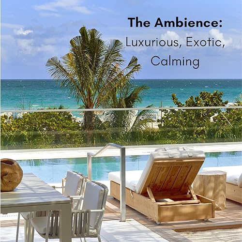 Miniatura 4 de The No. 1-1 Hotel - Mezcla de nicho de aceites esenciales - Sándalo, madera de cedro, ámbar, almizcle, vetiver - Aceite aromático para difusores de