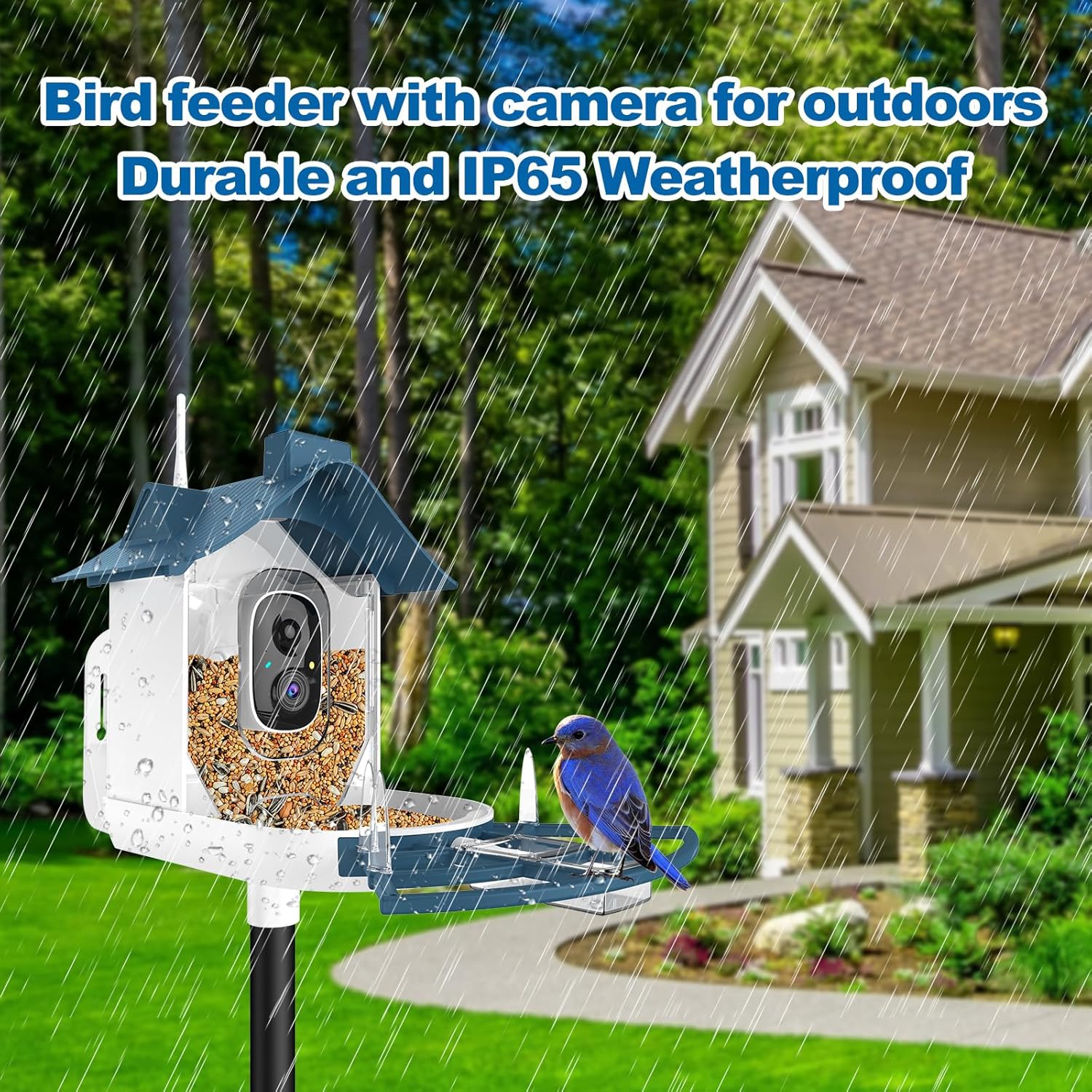 Bird Feeder with Camera,Smart Bird Feeder Camera with AI Identify Instant Notifications,FHD Live View,Birds Watching Camera with Solar Panel in Backyard,Ideal Gift for Family and Birds Lover,Navy Blue