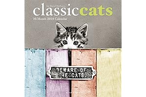 2019 Cat Calendar: The Cutest Cat Photos of the Year