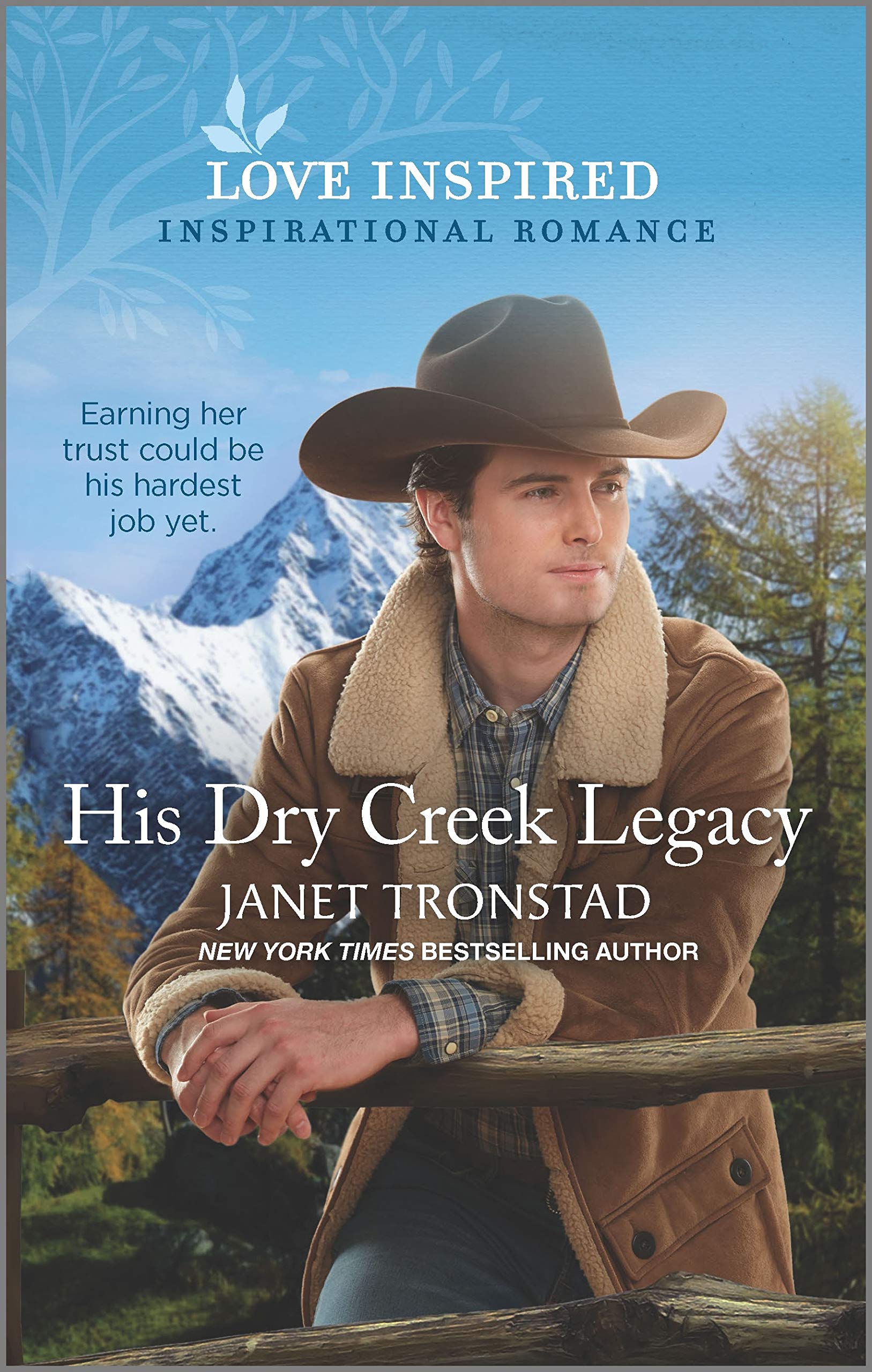 Buy His Dry Creek Legacy: A Cowboy Small Town Inspirational Romance — BookShops.in