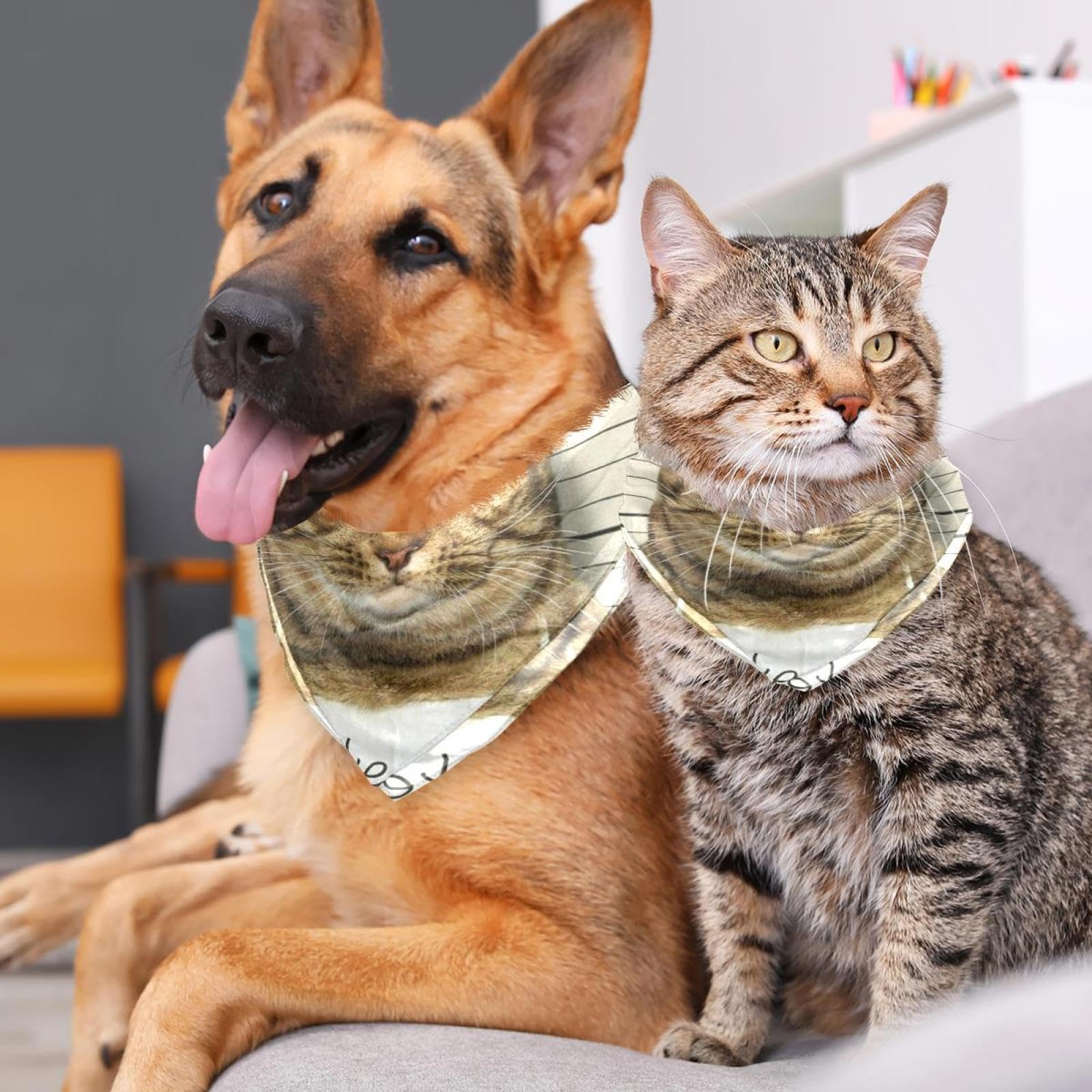 Lustige Hunde Und Katzen Haustierbandana Für Kleine Mittelgroße