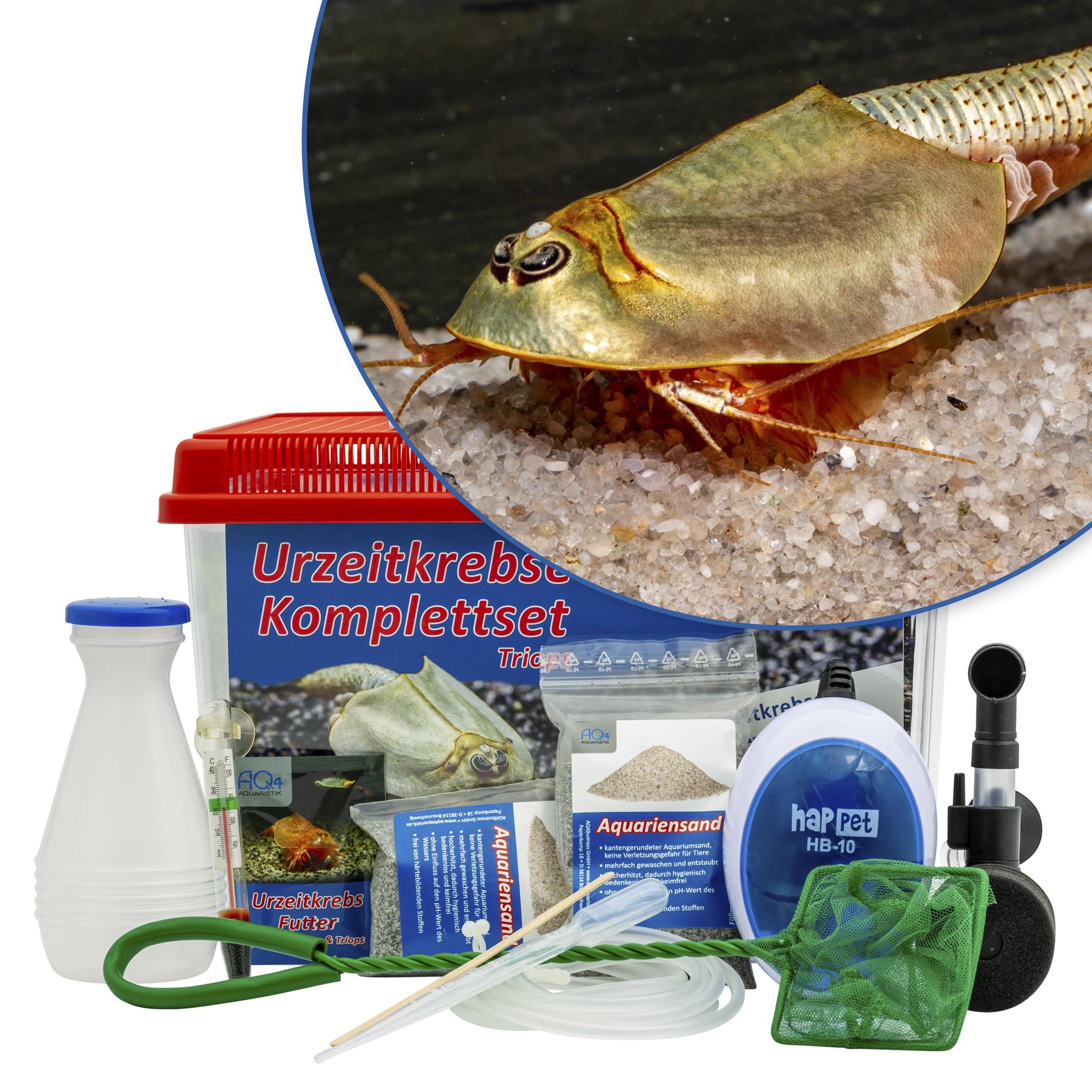 Triops longicaudatus Komplettset 6 l mit ca. 200 Urzeitkrebse Eiern Aquarium Filter Luftpumpe Zubehör Futter Anleitung