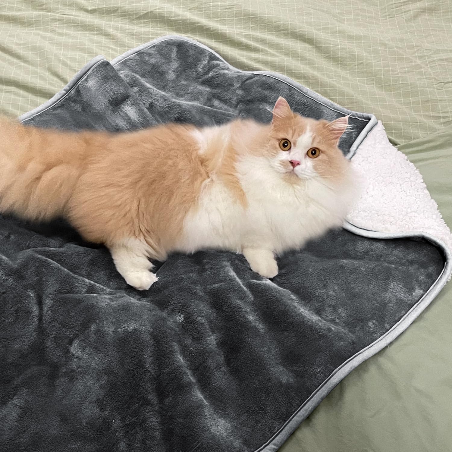 Yaning Waterproof Blanket for Bed Couch Sofa Soft Liquid Pee Proof Pet Blanket for Dog Puppy Cat Reversible Sherpa Fleece Blanket for Furniture Protector (Dark Grey - Image 2