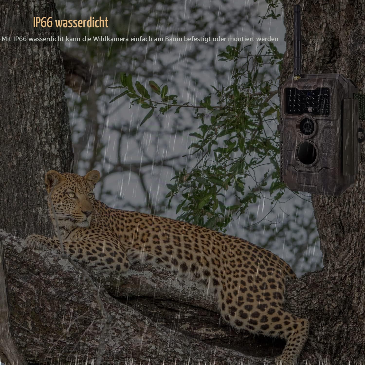 BlazeVideo Wildkamera WLAN Fotofalle WiFi Beutekamera Wildtier Jagdkamera Überwachungskamera 64MP HD MP4/MOV Video mit unsichtbare Nachtsicht Bewegungsmelder IP66 Wasserdicht