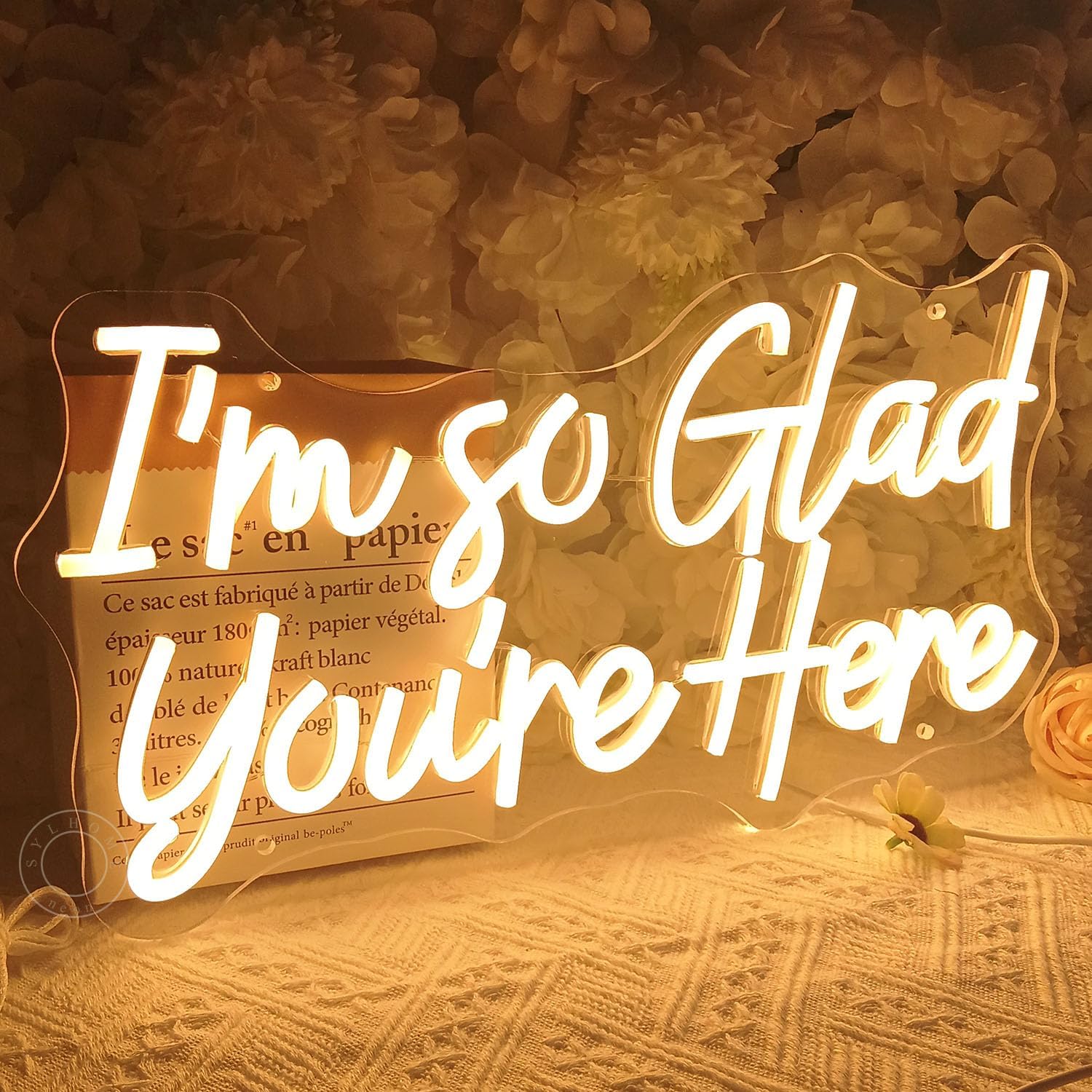 SYLHOME I'm So Glad You're Here Led Neon Light Sign Bedroom Classroom Club Kids Room Wall Sign Decor Welcome Banner Teacher Christmas USB 15.75"X8.27"