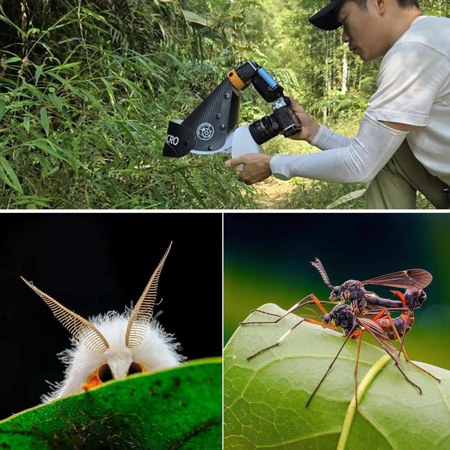 Macro Flash Diffuser Softbox for Insect/Jewelry/Stop Motion Photography, Compatible with 90-110mm Macro/Zoom Lenses, Portable Speedlite Softbox.
