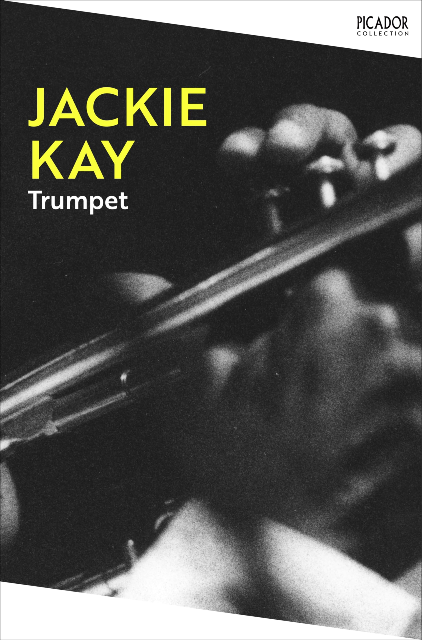 Trumpet: Picador Classic: 146 (Picador Collection, 146)