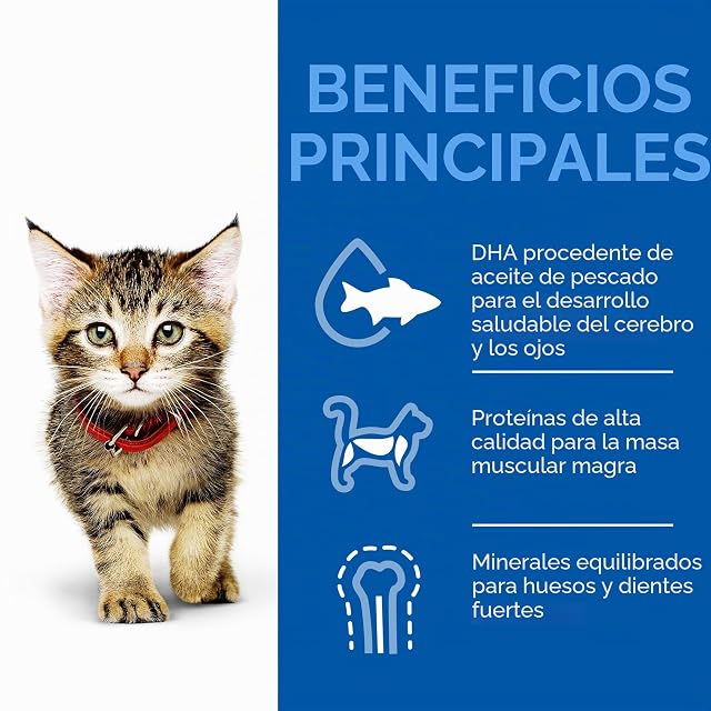 Foto 3 de 8 de Hills Pet Nutrition S.L. SP Feline Kitten Heal Dev. Pollo 3Kg 604049 Hills 600 g