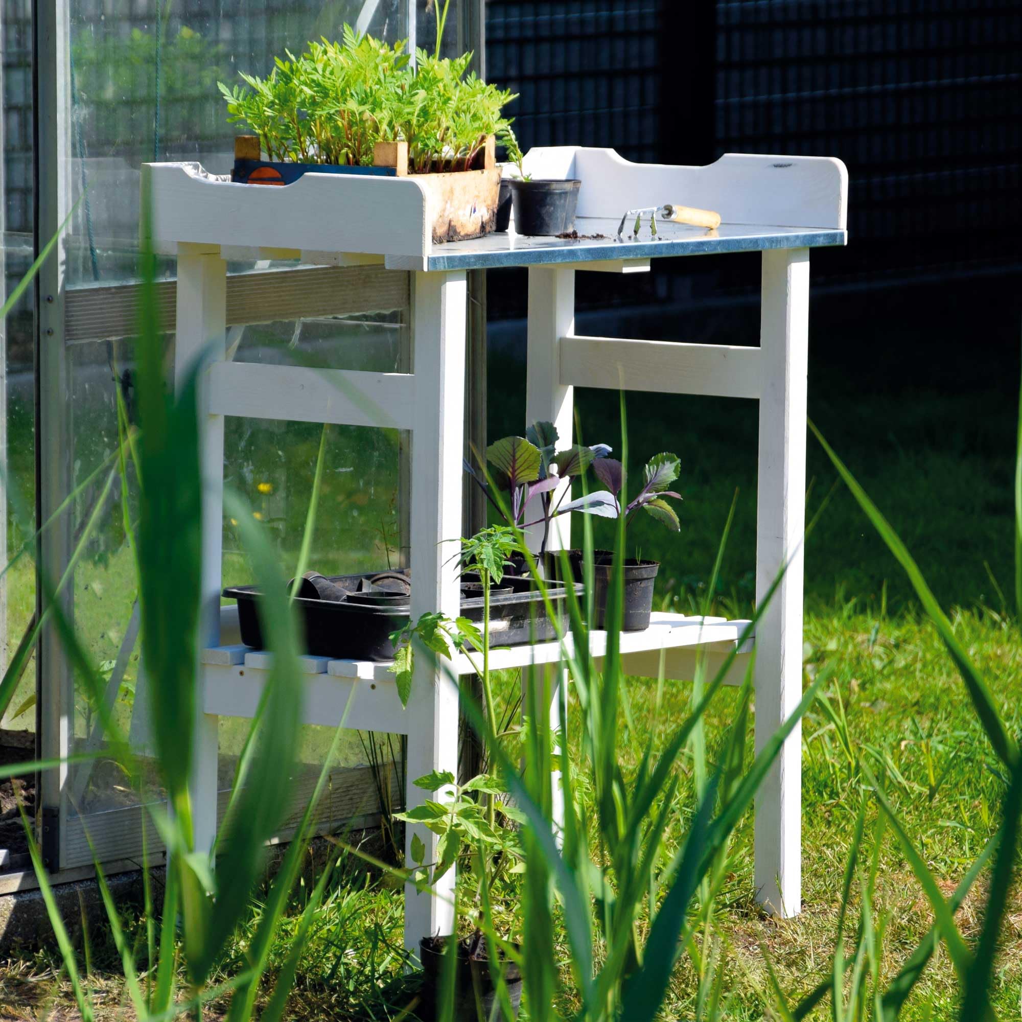 Dobar 29060e - Tabla de germinación para invernaderos, Blanco