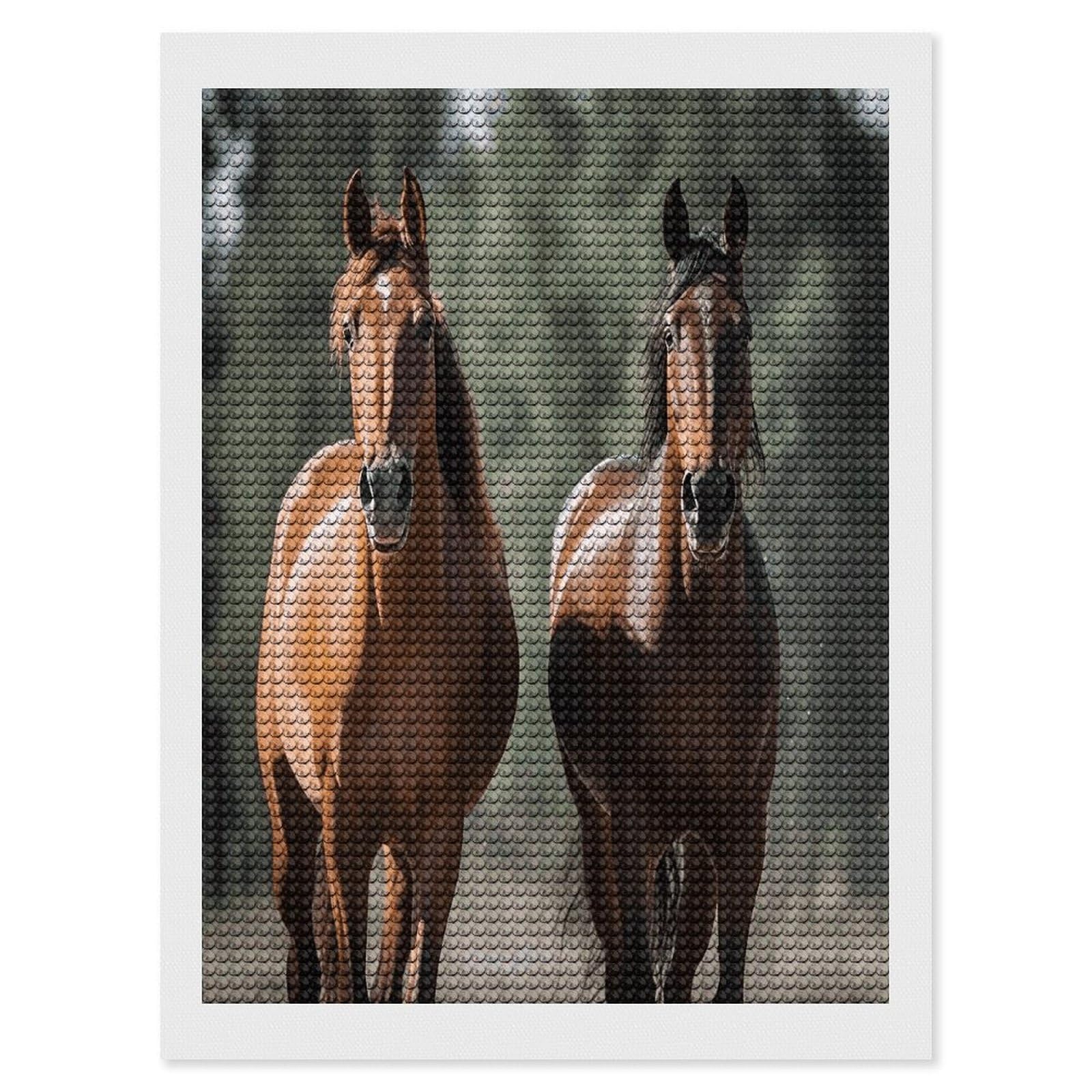 FekiLoot Animales Horses Diamond Art Kits for Adults Diamond Painting Kits for Beginners DIY Diamond Art Kits Round Full Drill Diamond Dot Gem Painting for Home Wall Decor Gift 12"x16"