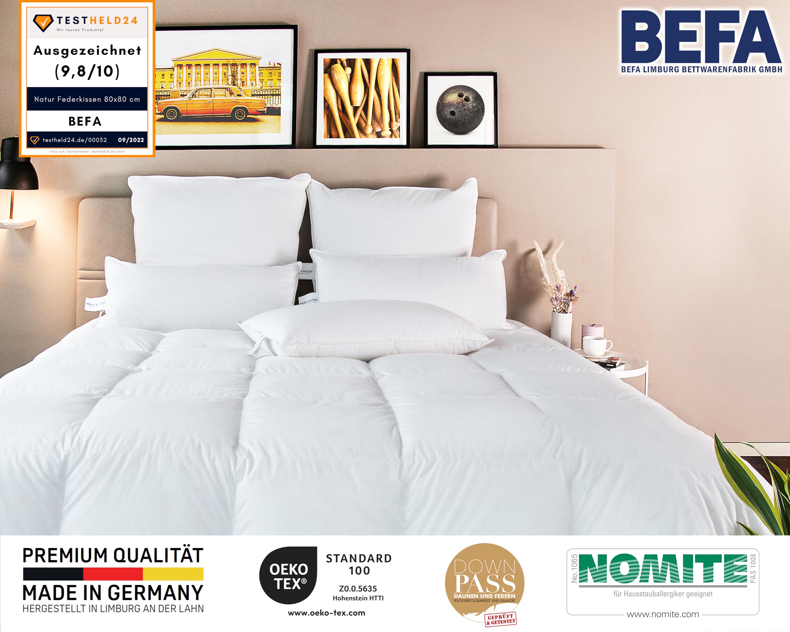 BEFA NATUR Federkissen 80x80 cm (2 Stück) | Kopfkissen Set 100% Federn | 1500g Füllgewicht/Stück | Allergiker geeignet (NOMITE) | Tierwohl zertifiziert (DOWNPASS) | OEKO-TEX Klasse 1 | Made in Germany