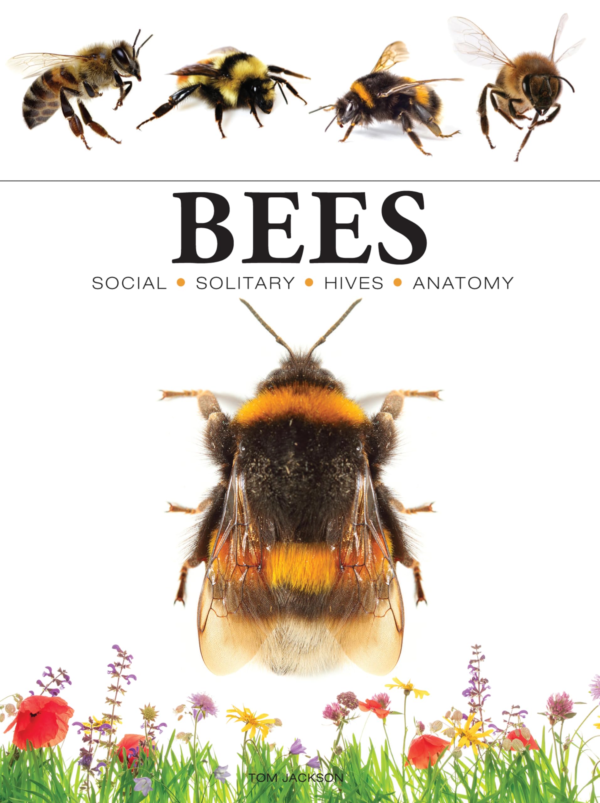 Bees (Mini Animals).by Jackson  New 9781838863579 Fast Free Shipping.#+,.#