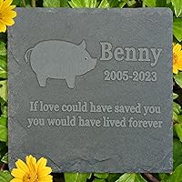 Vista 2 de Regalo de piedra conmemorativa para mascotas, lápida conmemorativa de jardín, marcador de tumba de Gecko, lápida de condolencia, regalo