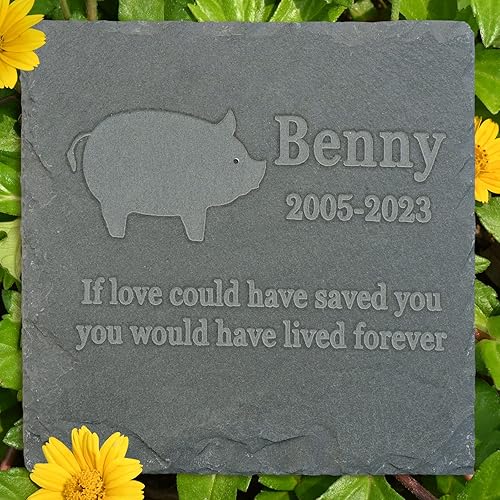 Miniatura 2 de Regalo de piedra conmemorativa para mascotas, lápida conmemorativa de jardín, marcador de tumba de Gecko, lápida de condolencia, regalo