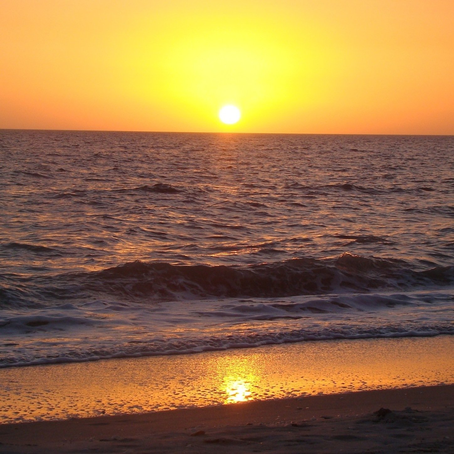 Steven Arvid Anderson