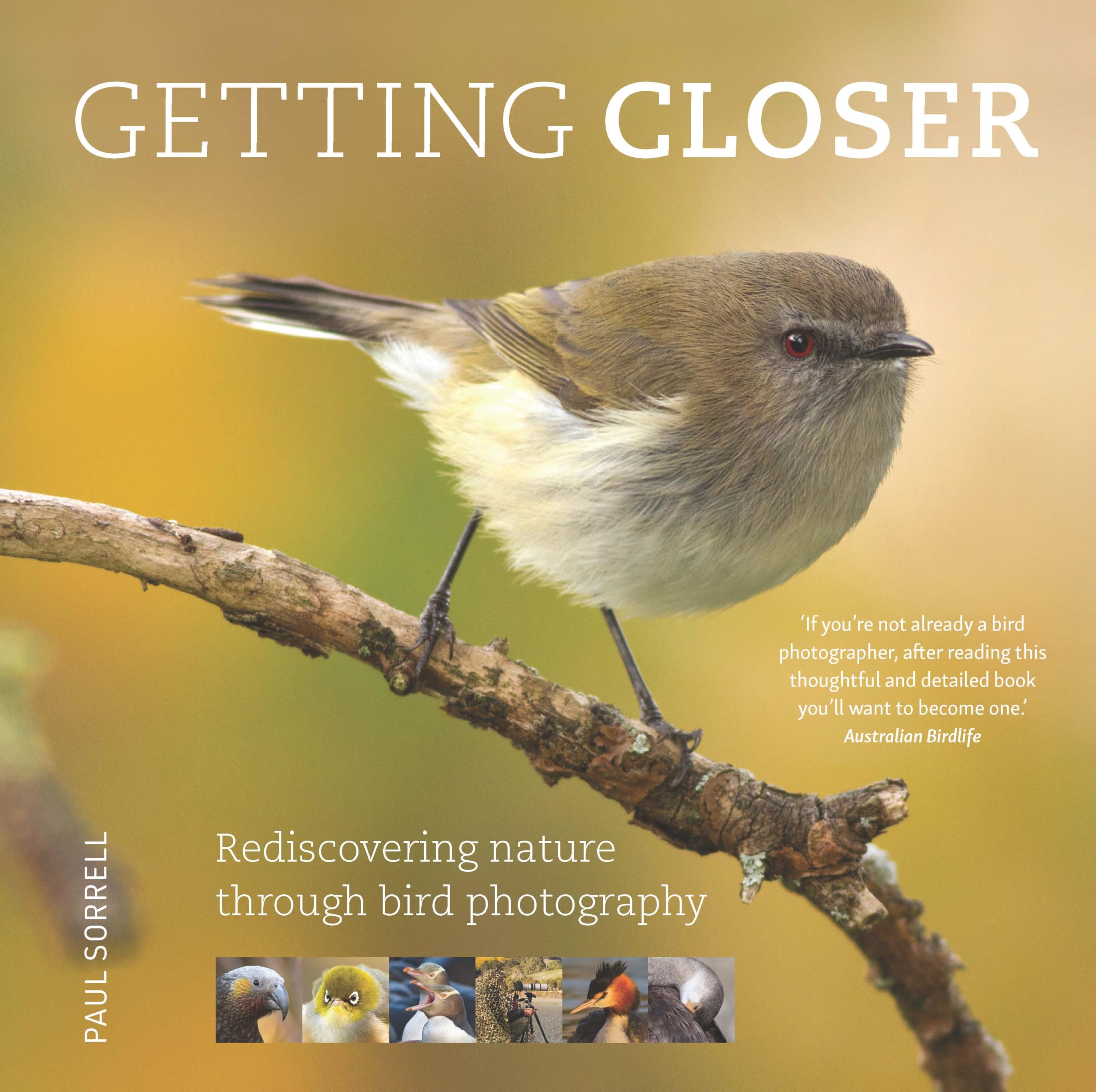 Getting Closer: Rediscovering nature through bird photography