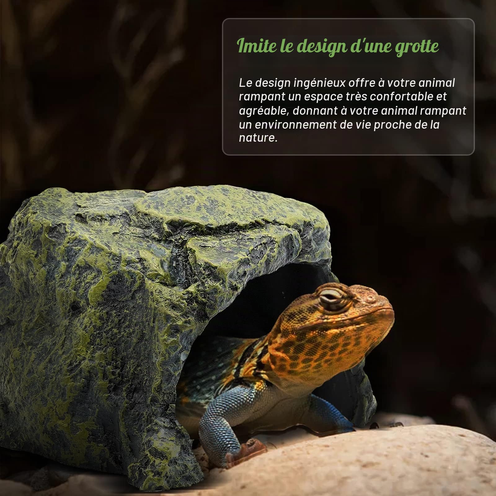Grande Cachette pour Reptile Résine Abri pour Reptiles Tortue Cachette Abri Reptile Habitat DéCoration Aquarium Terrarium DéCoration pour Tortue LéZard Serpent Amphibiens