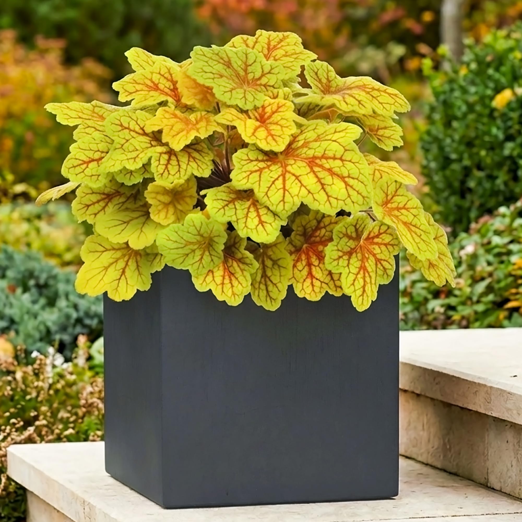 IDEALIST 25cm Planter | Dark Grey Reinforced Stone Square Garden Planter | Flower Pot with Drainage Holes L25 W25 H25 cm, 16 litres โ image 1