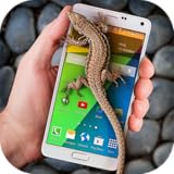 - Establecer el tiempo tras el que van a aparecer los reptiles.