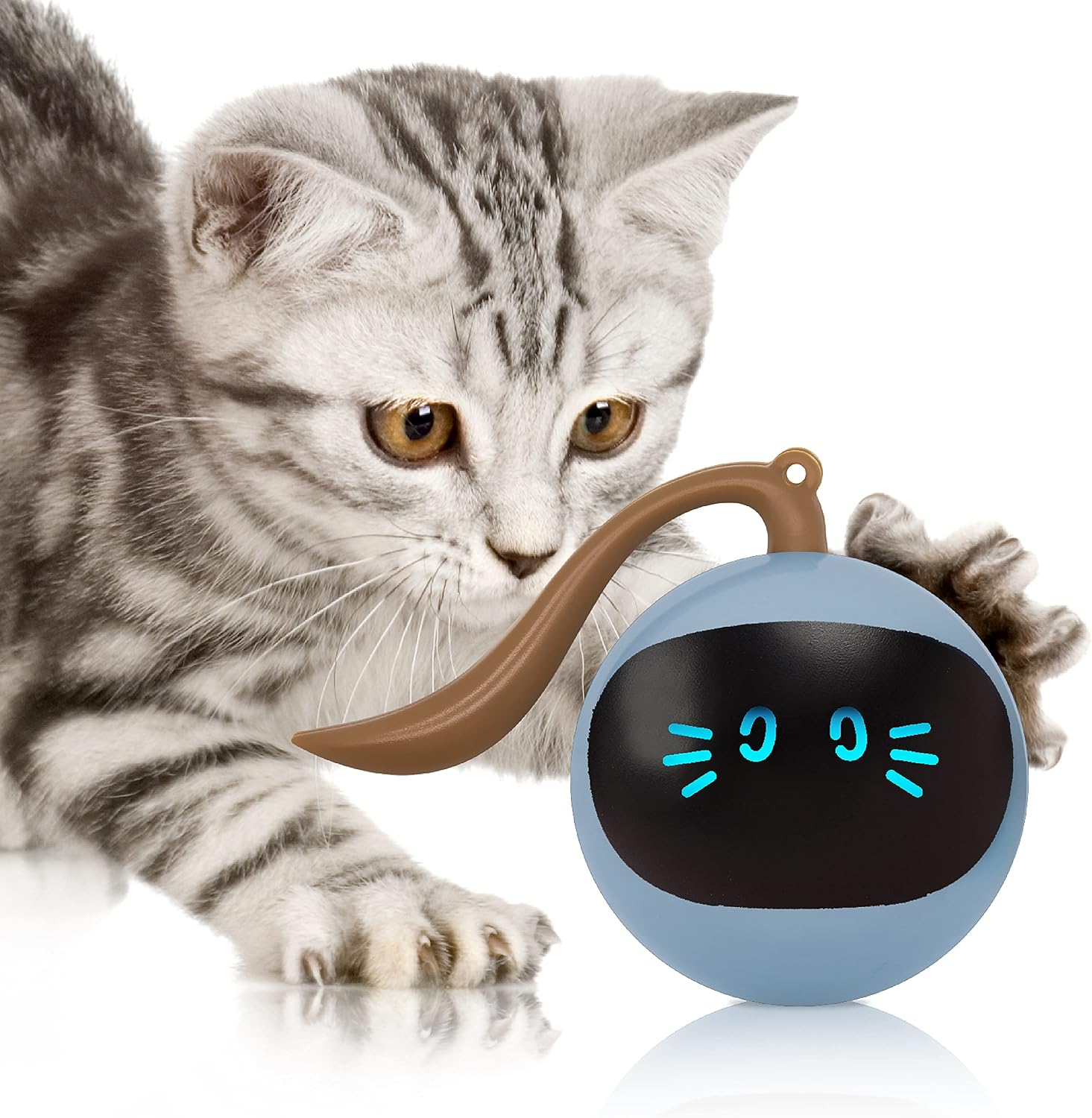 FOFOS Cat Toys 360¡ãSelf Rolling Ball Toy Interactive Toys Cat Wand Teaser Toys Hunting Exercise Toys Indoor Gifts for…