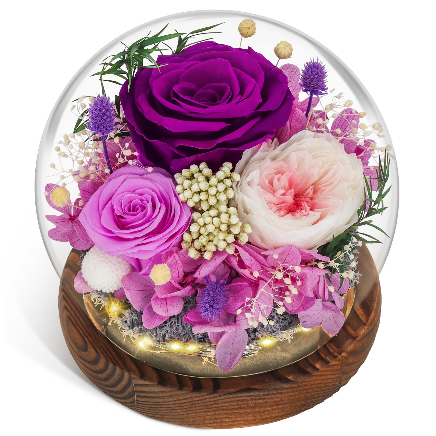 CSYY Rosa Eterna LED Luces Infinito Flor Preservada Bola de Cristal Vidrio Morado y Austin con Hortensias y Flores de Arroz para Mujeres Mamá Novia Esposa Día de Cumpleaños Púrpura
