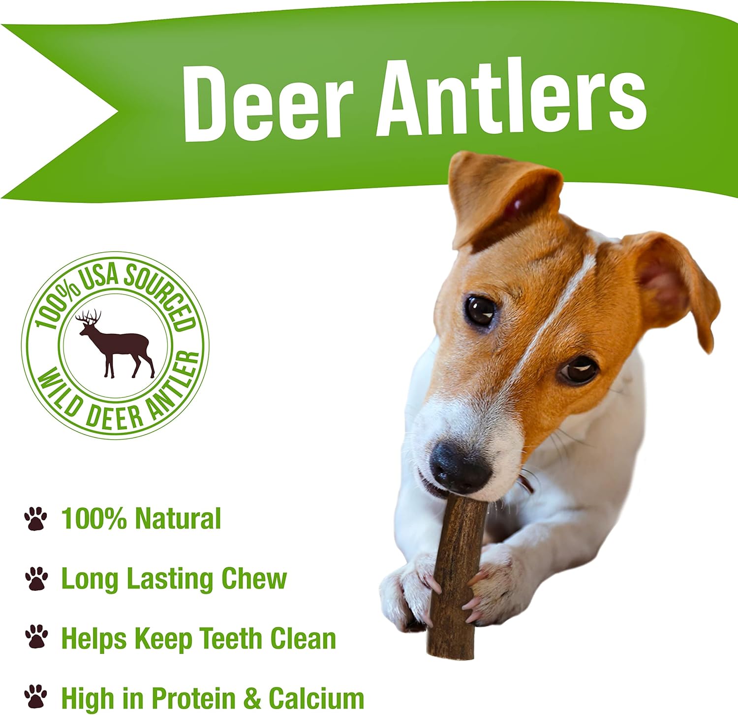 Buck Bone Organics Dog Chews, Deer Antlers for Dogs, Long Lasting Dog Bones for Aggressive Chewers, All Natural, No Preservatives, Wild Shed in the USA, Small/Medium 6 Pack