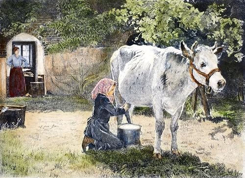 Ordeño siglo XIX NLa vaca blanca grabado francés finales del siglo XIX después de una pintura de Julien Dupr (1851-1910) Póster impreso por (24 x 36)