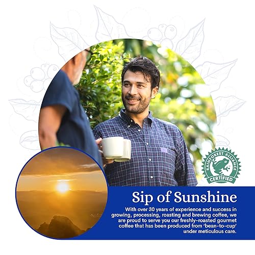 Miniatura 10 de Café Blue  Café Jamaica Blue Mountain 100% auténtico de Clifton Mount Estate, café de grano entero de tostado medio, granos de café arábica premium,