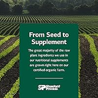 Vista 7 de Proceso estándar - Tabletas de ácido fólico B12-180