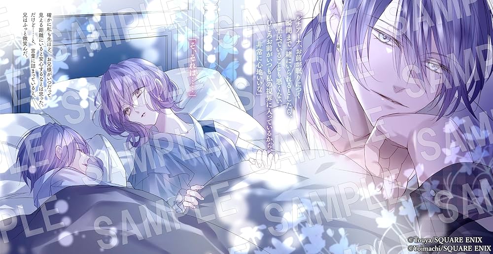 悪役令嬢は溺愛ルートに入りました!?(9) 悪役令嬢は溺愛ルートに入りました！？ 9巻 / 十夜【著者】/宵