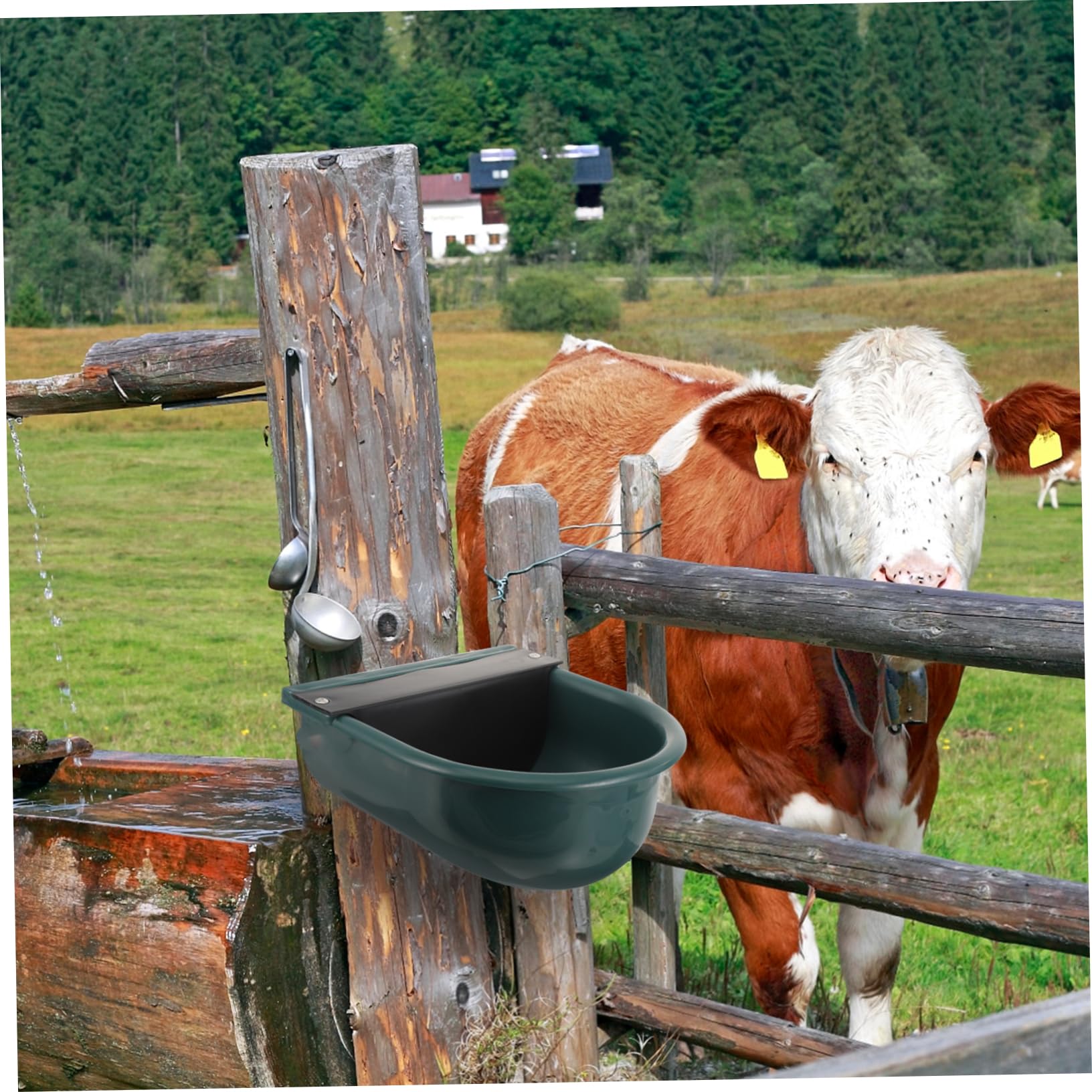 Beavorty Bebedero Automático Para Caballos y Vacas Hecho De Plástico Inoxidable y Duradero
