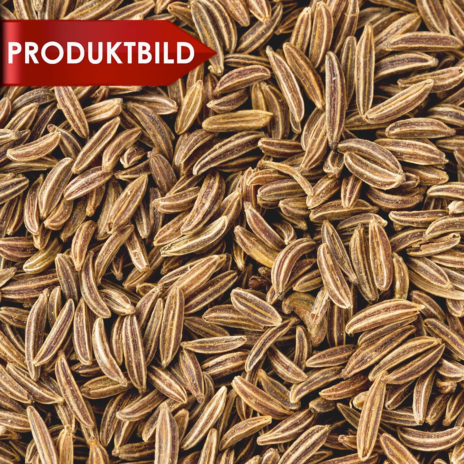 Kreuzkümmel ganz, Cumin, Kumin, Mutterkümmel aus Indien. Keimreduziert. Spitzenqualität. PP - Eimer 12,5KG