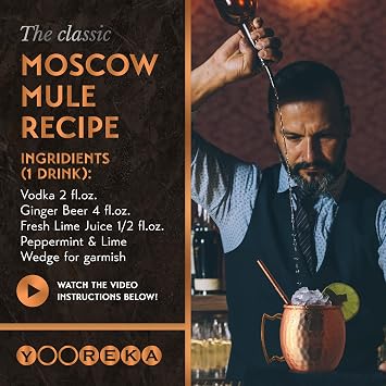 Yooreka Gift Set Moscow Mule Mugs Set of 4 16 oz Copper Plated Stainless Steel 4 Straws 4 Coasters Jigger Shot Glass Stirring Spoon, Cleaning Brush