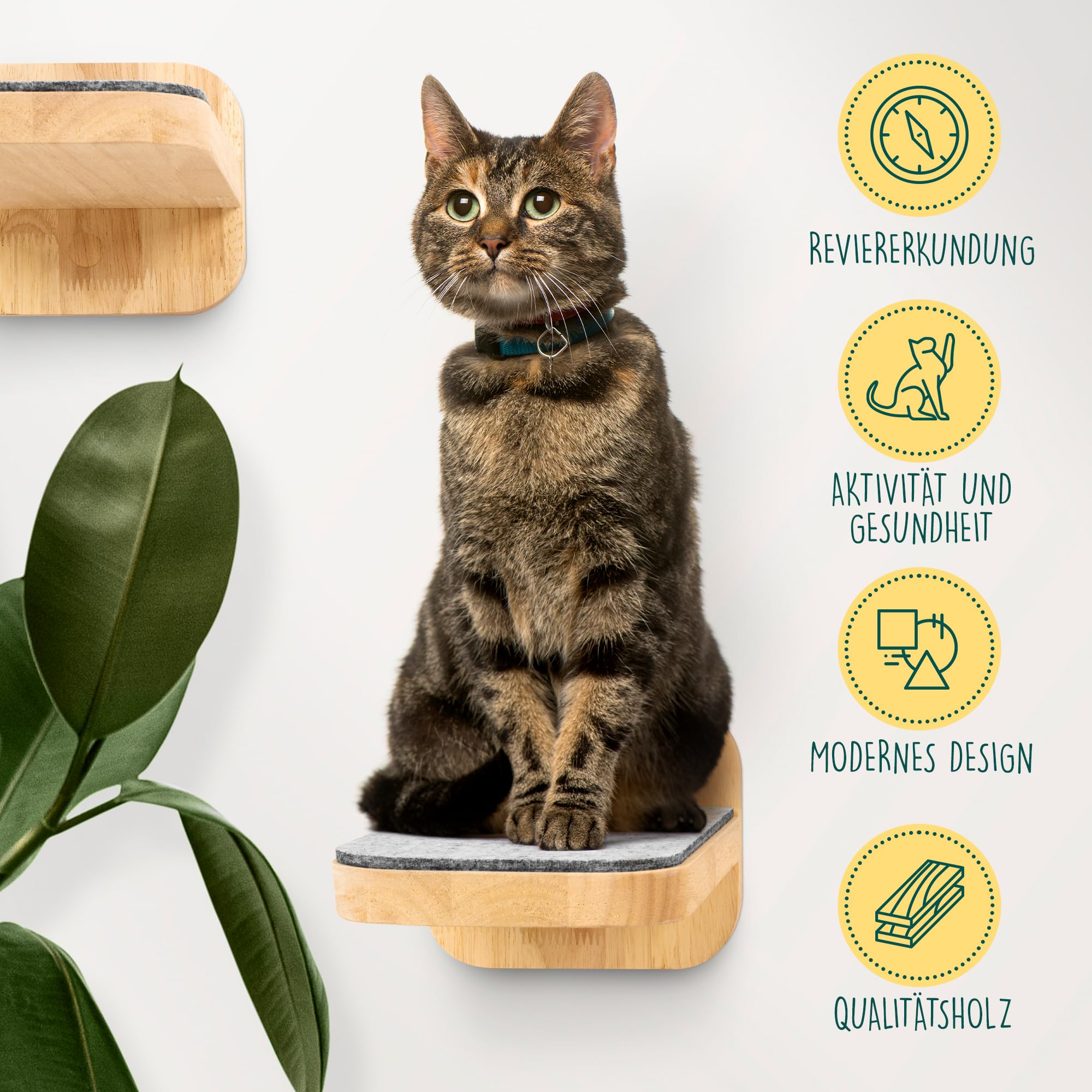 Knupis Katzen Kletterwand 3er Set Aus FSC-Kiefernholz – Stabile Katzentreppe Bis 30 Kg