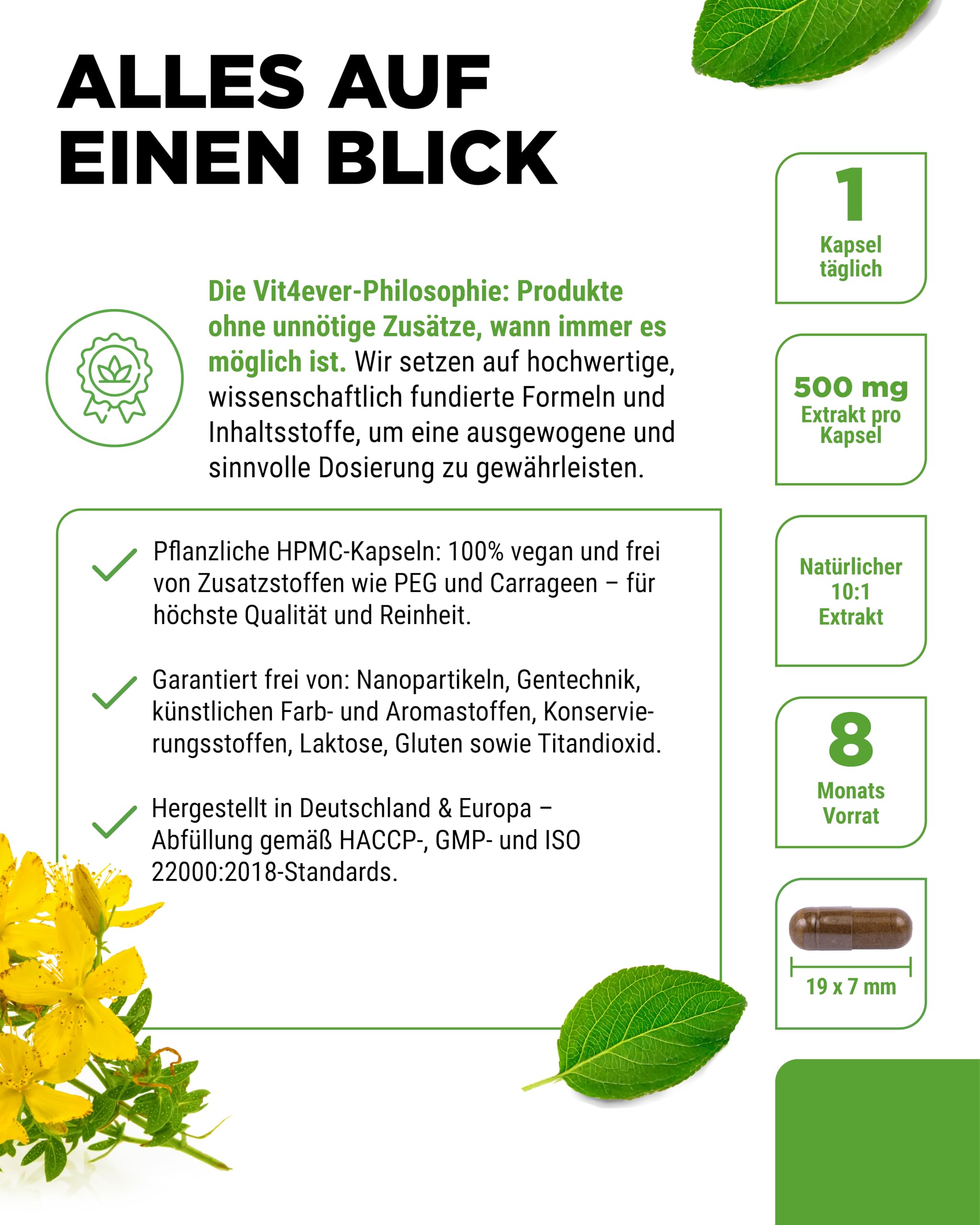 vit4ever Johanniskraut - 240 Kapseln - 500 mg Extrakt - 10:1 | entspricht 5000 mg Johanniskraut, 8-Monatsvorrat, hochdosiert, vegan