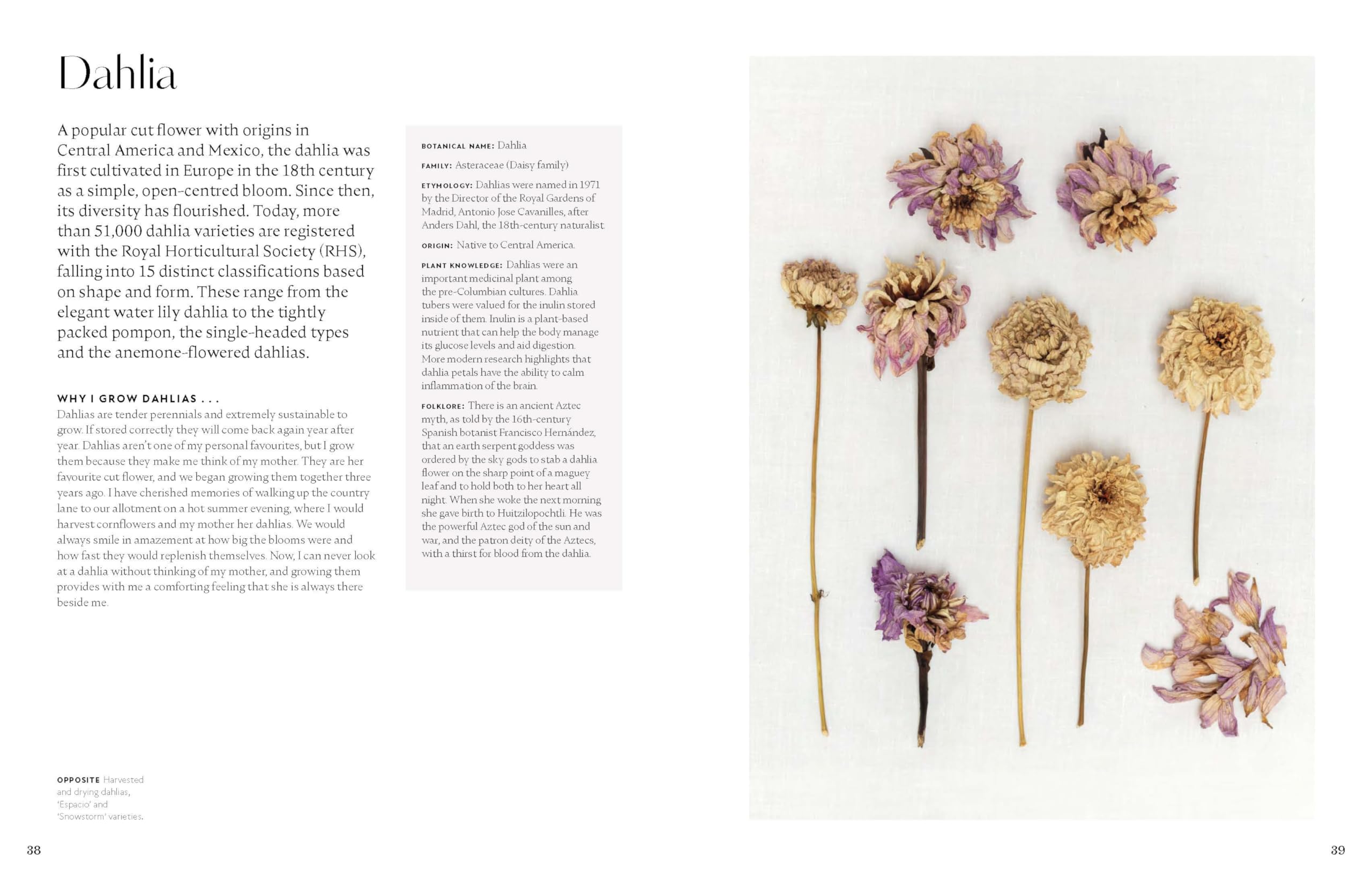 Stitching with Nature: Creating Material Magic with the Natural World