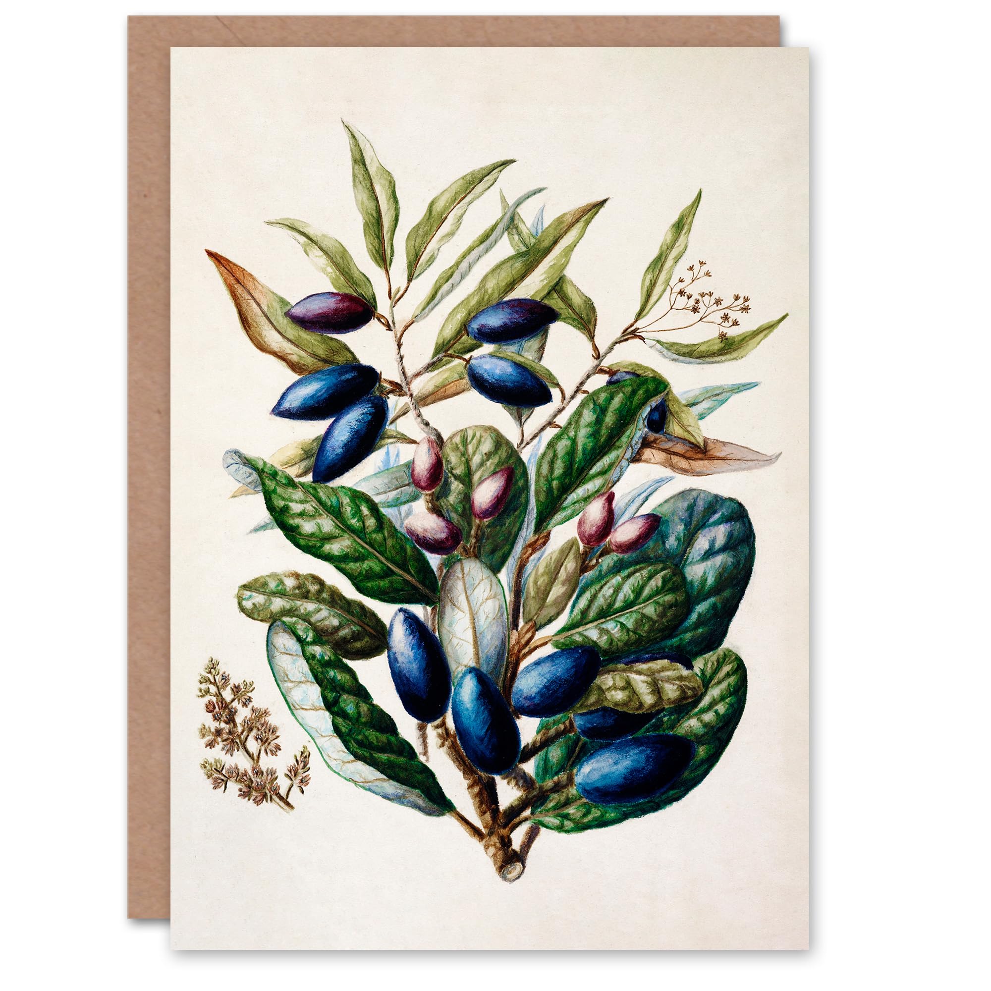 Artery8 Sarah Featon Art Card New Zealand Taraire Fruit Branch