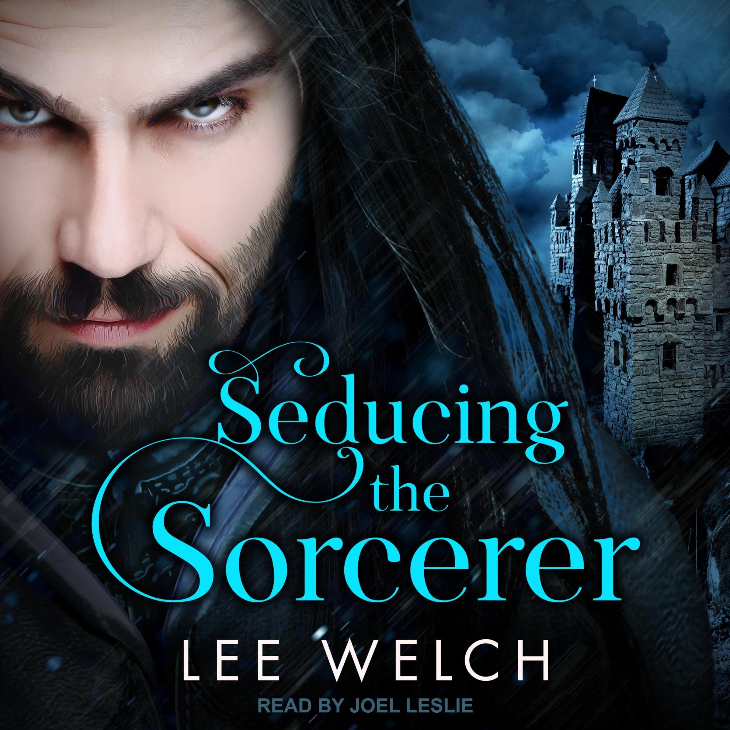Cover art for Seducing the Sorcerer