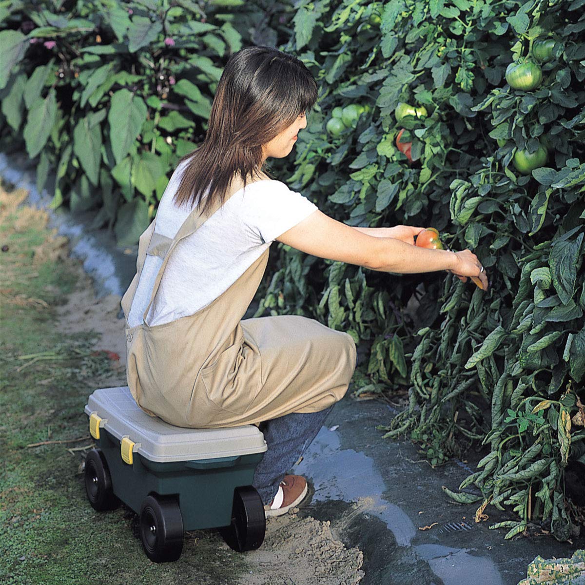 Amazon.co.jp: グリーンパル(Green Pal) フィールドカート グリーン