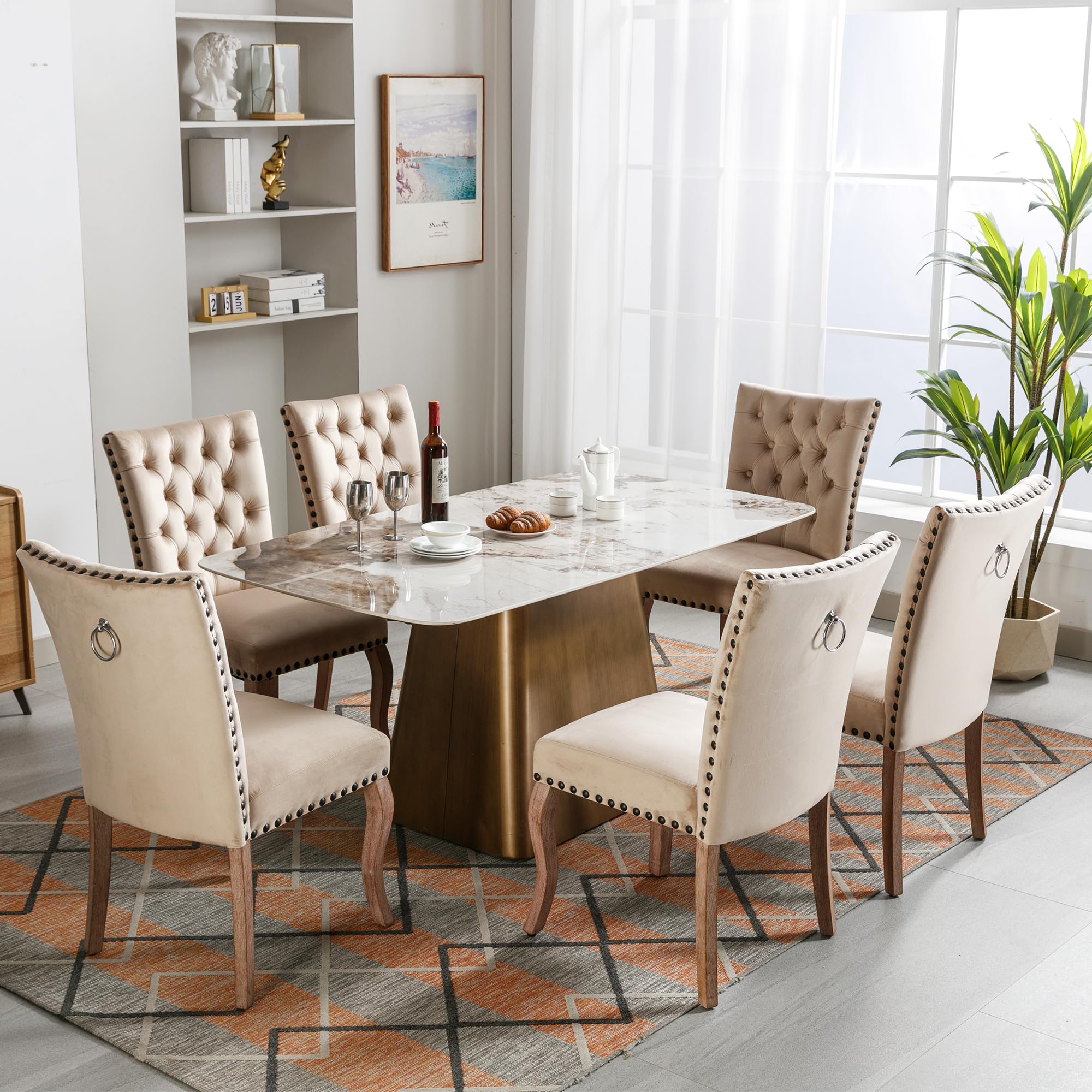 Sedia da pranzo (sedia da cucina, soggiorno con battente unico sul retro), sedia imbottita con testa di chiodo, gambe in legno massiccio, rivestimento in velluto, cammello chiaro, 6 pezzi
