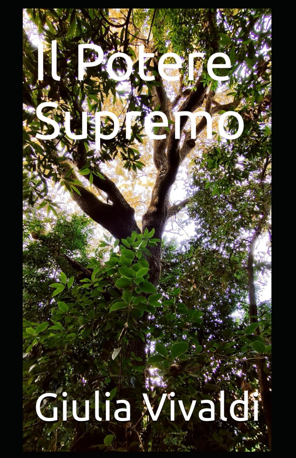 Il Potere Supremo: Volume secondo