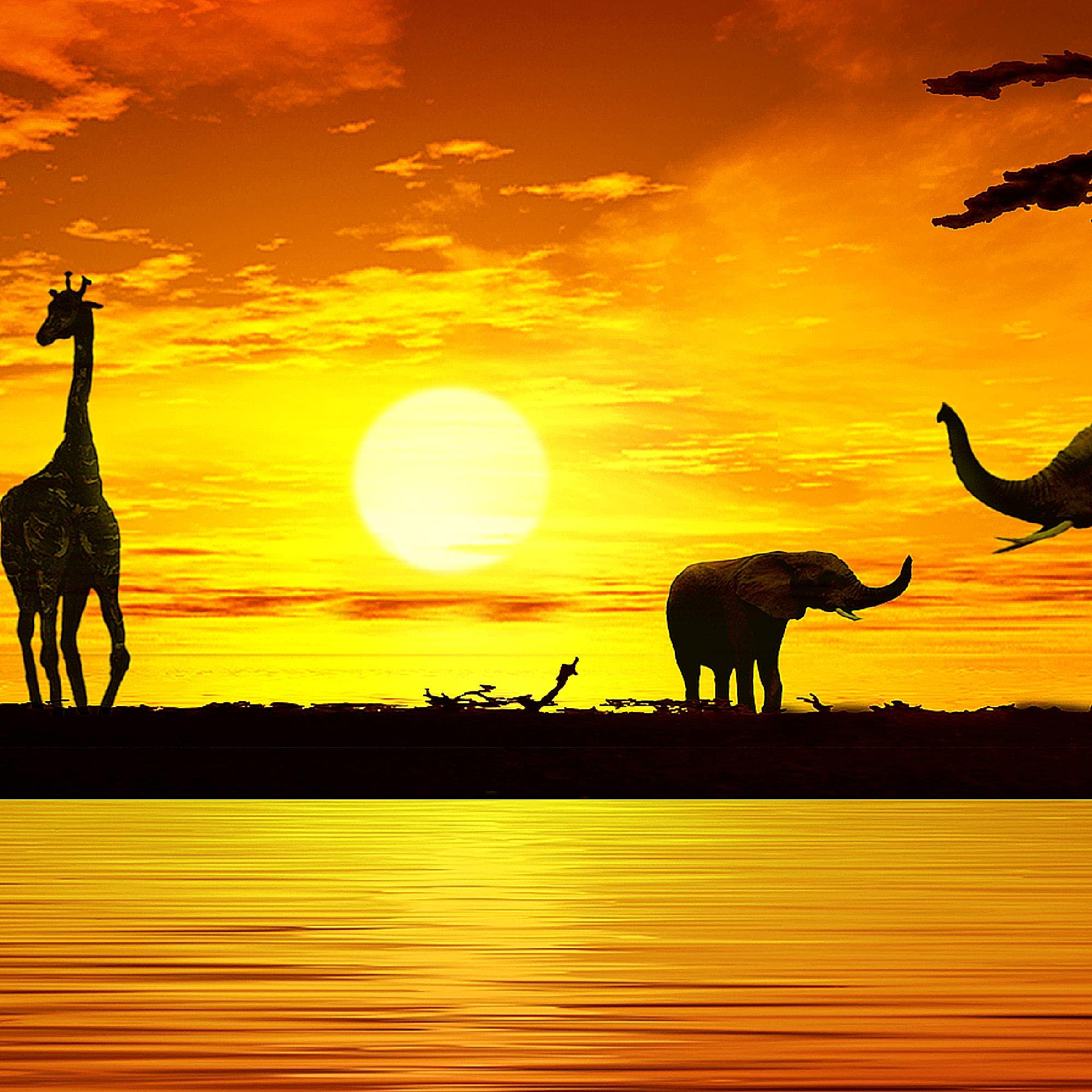 Runa Art Quadri Moderni Africa Tramonto 1 Pezzo L'immagine Tela Non Tessuta Soggiorno Corridoio Giraffa Elefante Arancia 000212a