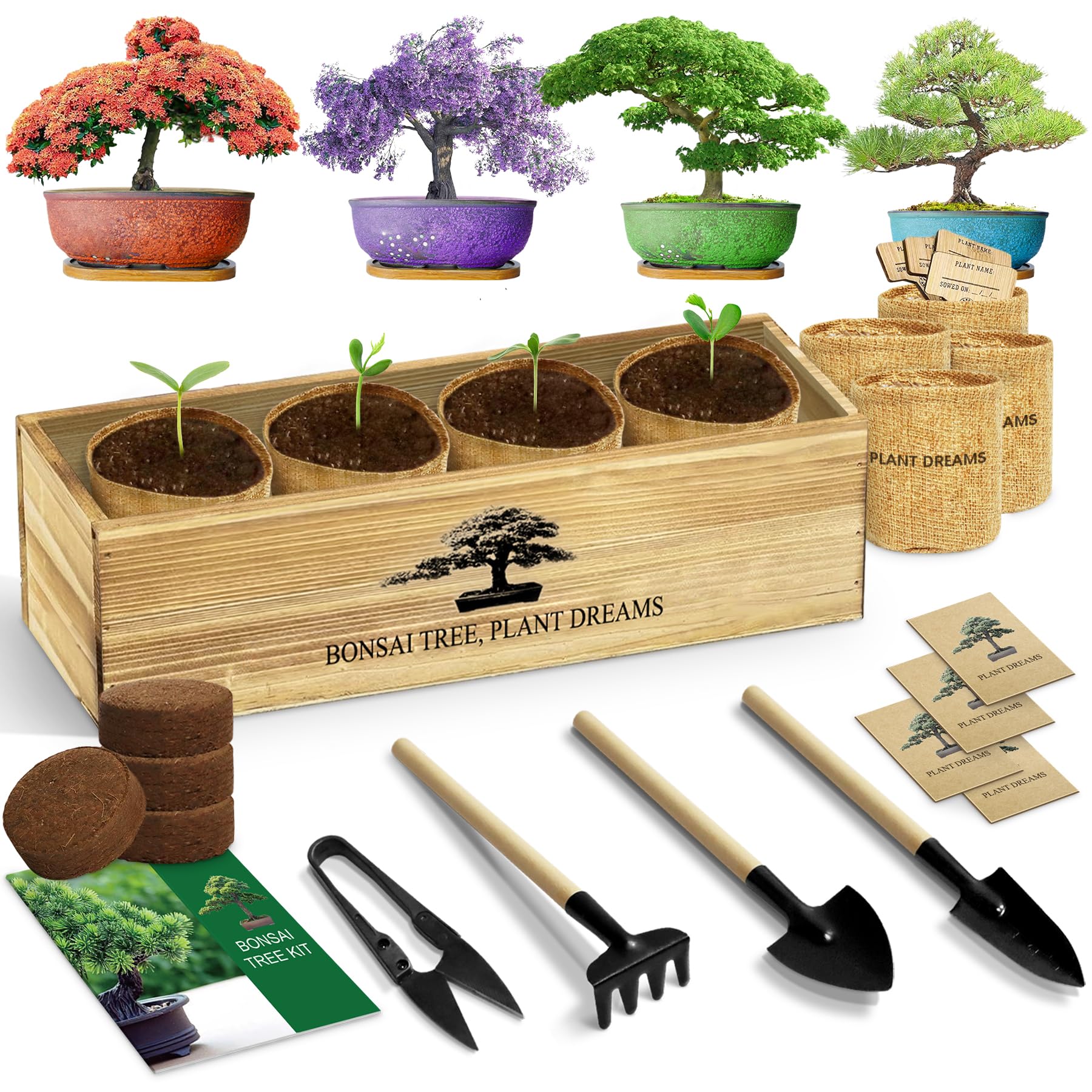 LUOJIBIE Bonsai Tree Kit