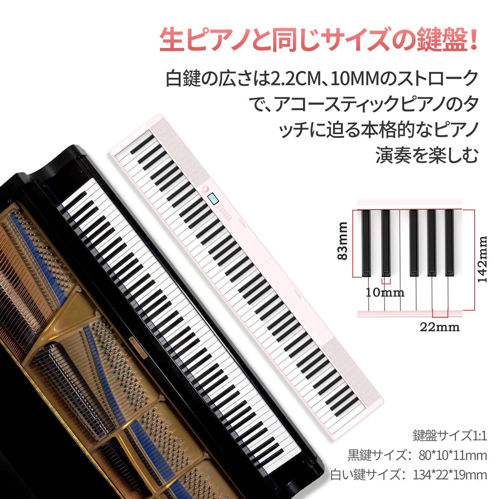電子ピアノ 88鍵　ピアノ　折りたたみ　MIDI対応　TERENCE Amazon | TERENCE 折りたたみ 電子ピアノ 88鍵盤 タッチレスポンス鍵盤