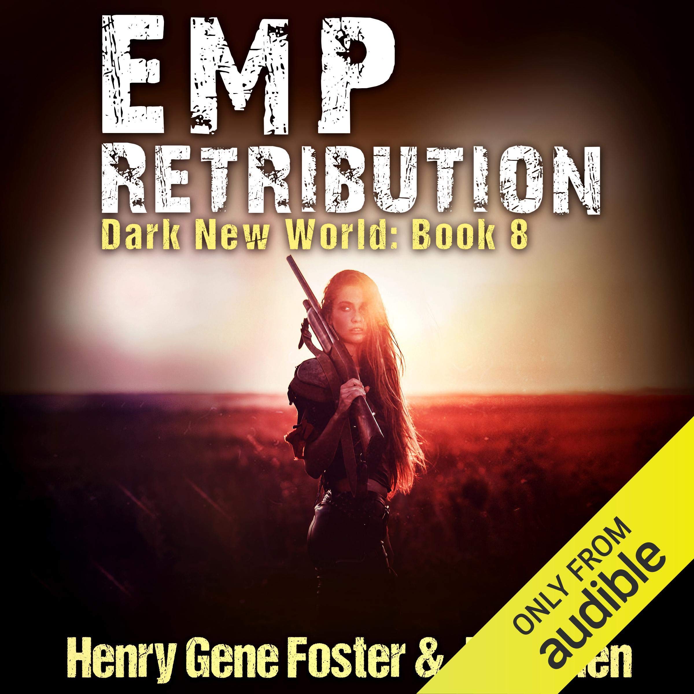 Cover art for EMP Retribution