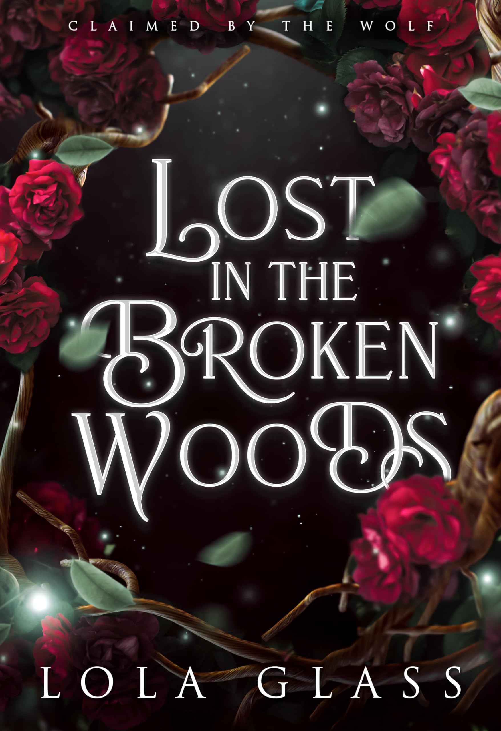 Cover of Lost in the Broken Woods