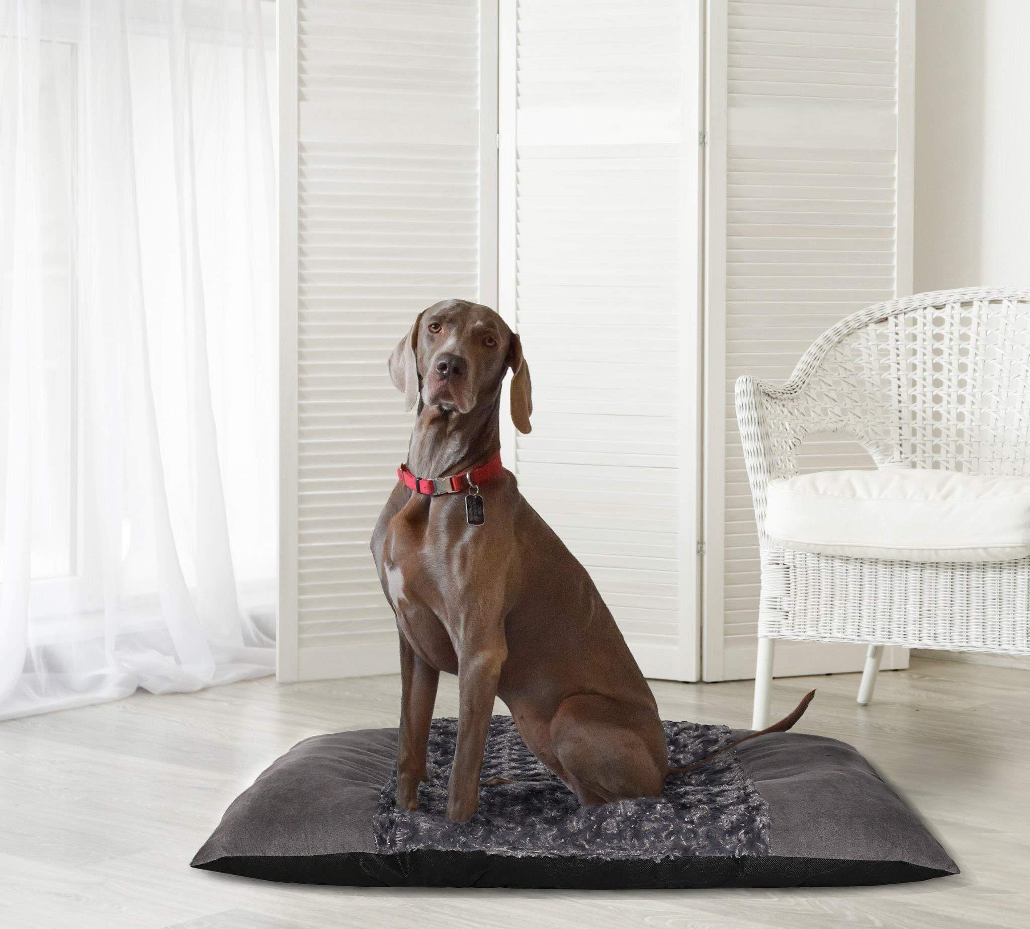 Italian Bed Linen Pets Kissen, Zoe, 88x69cm
