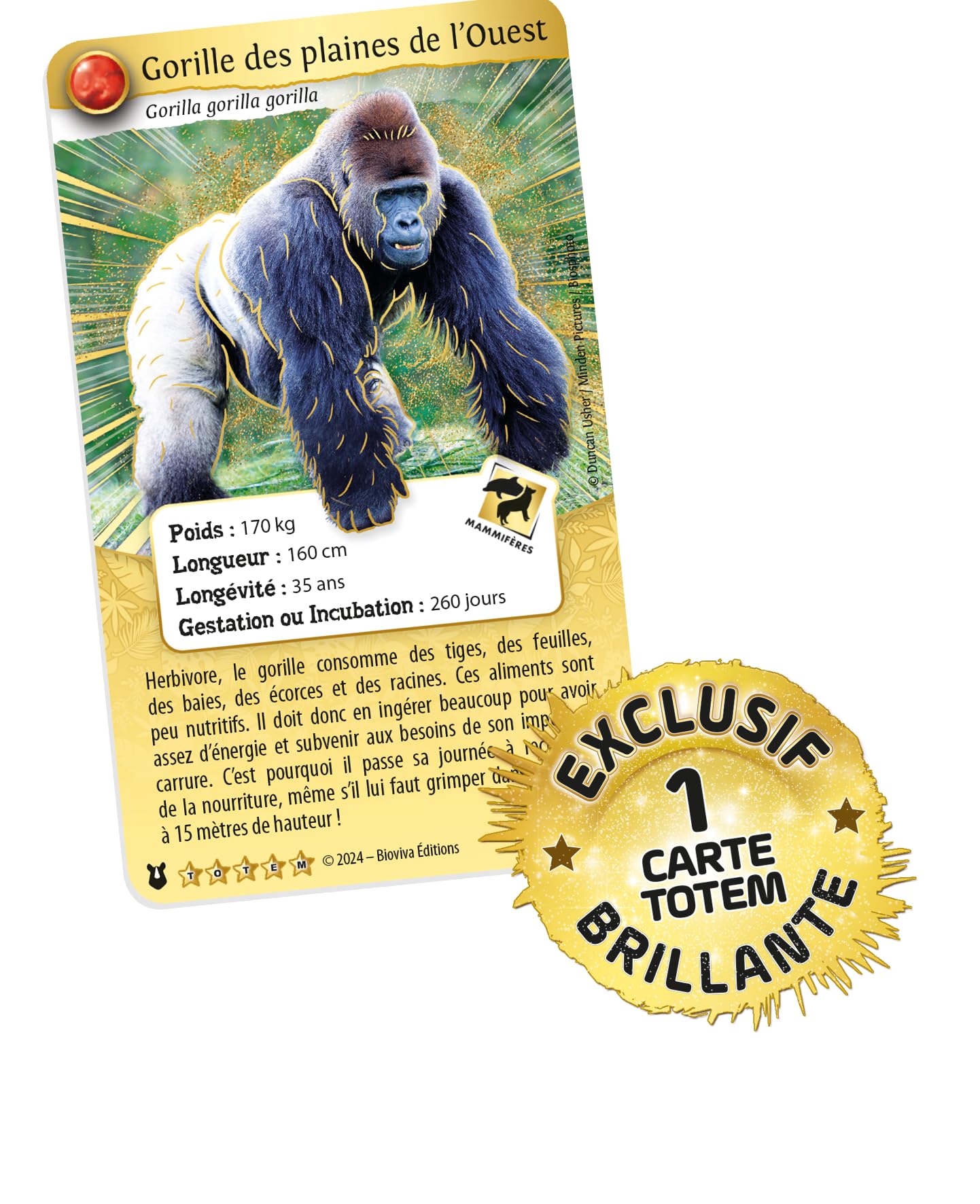 Cartes Bioviva Défis Nature - Pack Démarrage Panthère Des Neiges - Jeu Cartes Protection Animaux - Fabriqué France Cart Collection Enfants