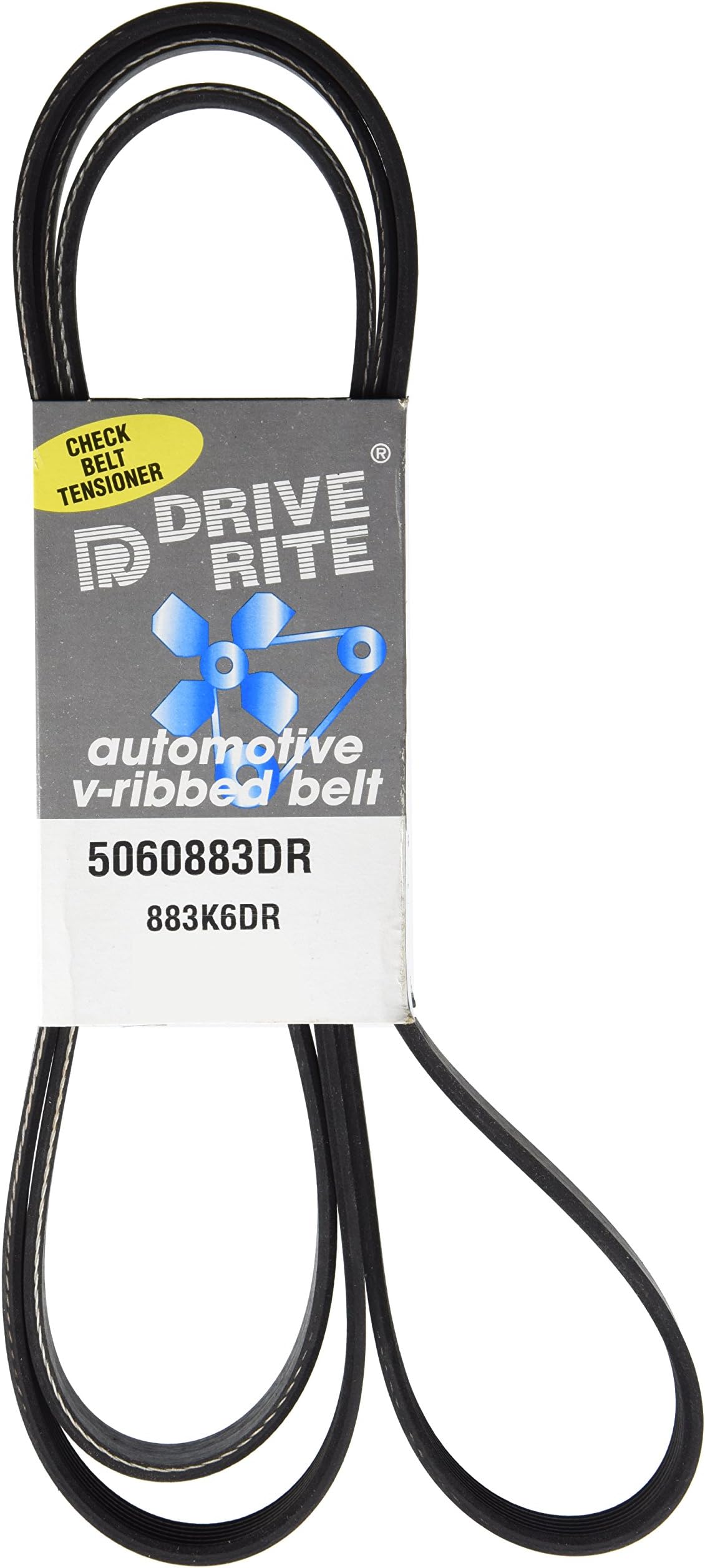 DaycoDrive Rite 5060883DR Serpentine Belt