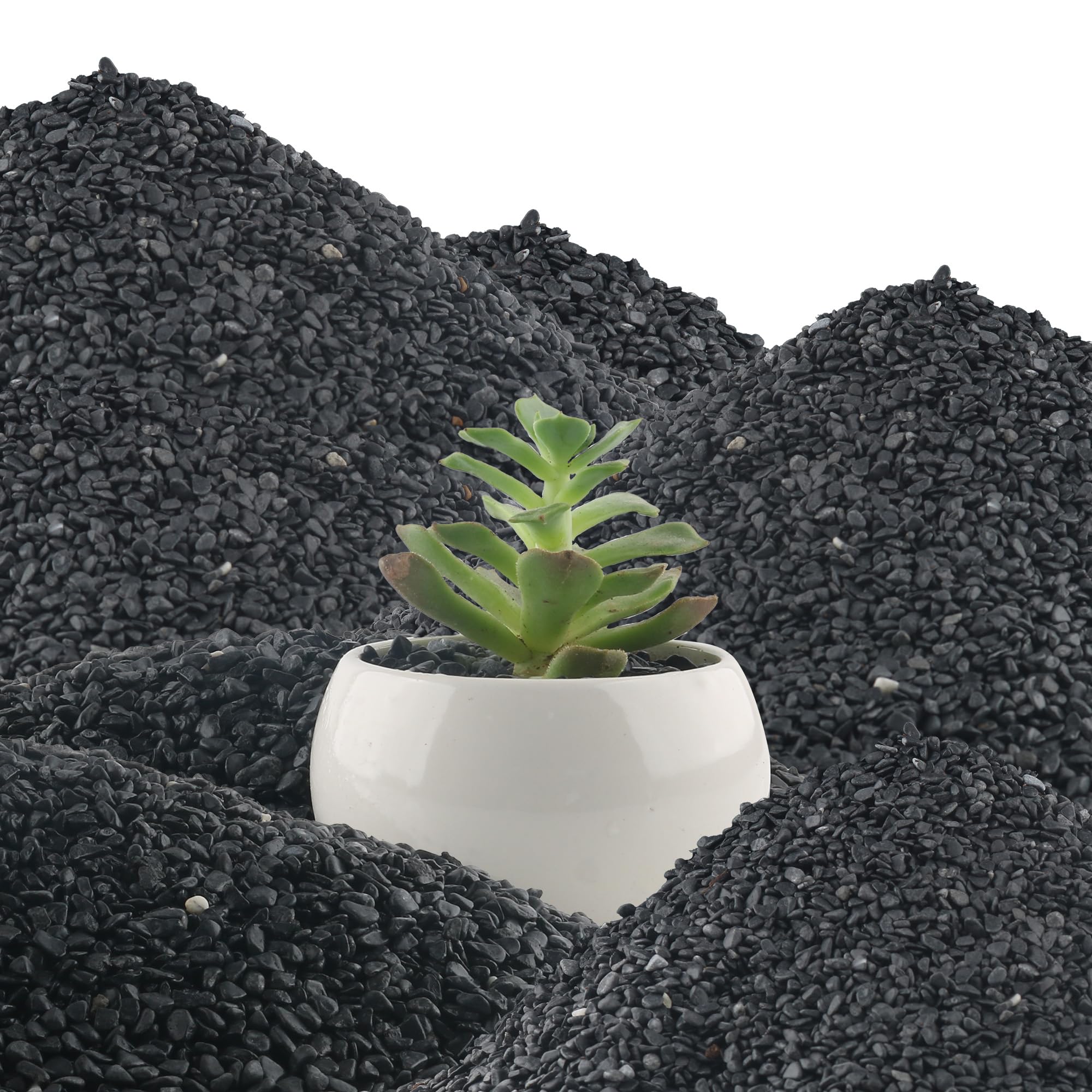 45lb Black Cactus Pea Gravel Rocks,1/4 Inch Pebbles for Indoor Plants, Natural Succulent Rock and River Rocks Decorative for Aquariums, Vases, Outdoor Gardening, Top Dressing for Potted Plants